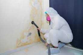 Best Real Estate Mold Inspection in Moraga, CA